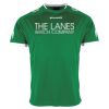 Lions Match Shirt Thumbnail