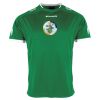Lions Match Shirt Thumbnail