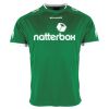 Lions Match Shirt Thumbnail
