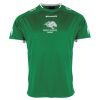 Lions Match Shirt Thumbnail