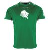Lions Match Shirt Thumbnail