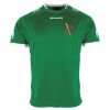 Lions Match Shirt Thumbnail