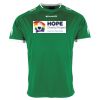 Lions Match Shirt Thumbnail