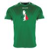 Lions Match Shirt Thumbnail