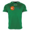 Lions Match Shirt Thumbnail