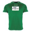 Lions Match Shirt Thumbnail
