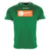 Lions Match Shirt Thumbnail