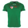 Lions Match Shirt Thumbnail