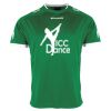 Lions Match Shirt Thumbnail