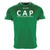 Lions Match Shirt Thumbnail