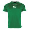 Lions Match Shirt Thumbnail