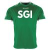 Lions Match Shirt Thumbnail