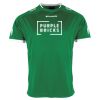 Lions Match Shirt Thumbnail