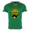 Lions Match Shirt Thumbnail