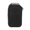 Lions Shoe Bag II Thumbnail